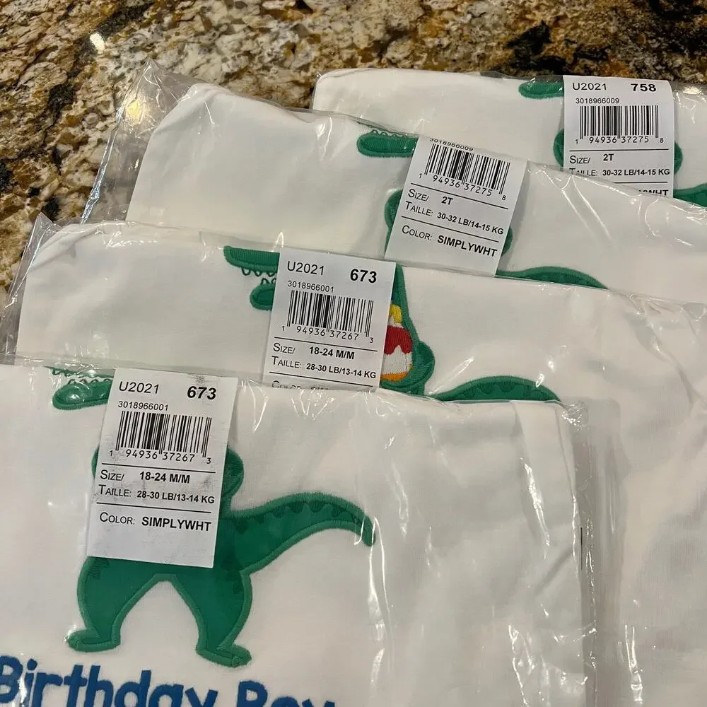 NWT Gymboree Boys' White/Ivory Embroidered Birthday Dinosaur T-Shirt